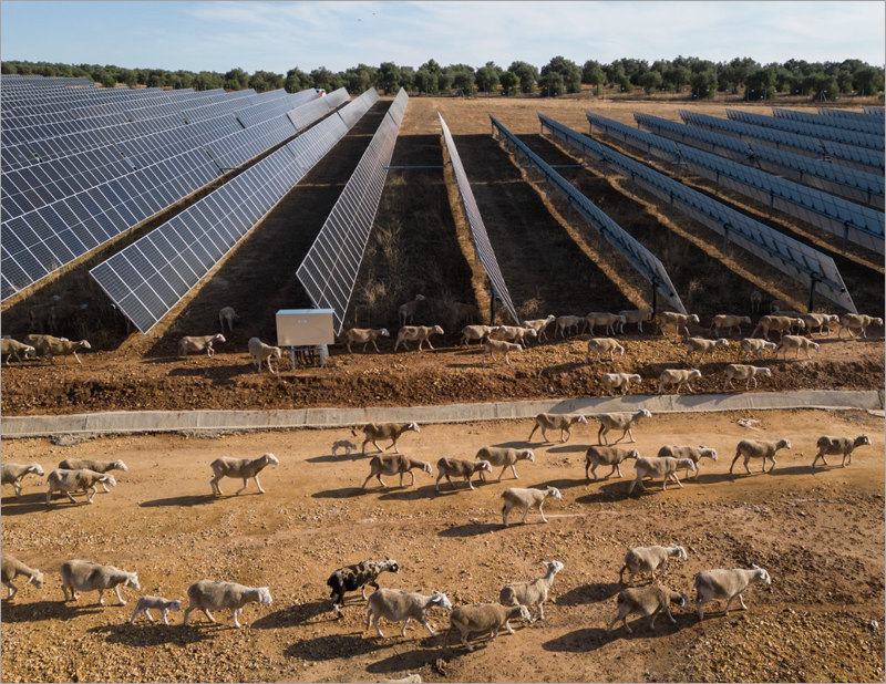 La autorización DIA ha avalado positivamente los estándares de estas seis plantas solares de Aquila Clean Energy en términos ambientales y paisajísticos.