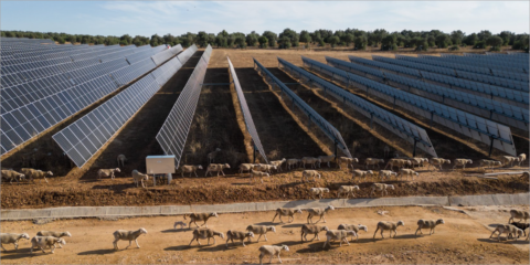 Seis plantas solares en Toledo y Cádiz obtienen la Declaración de Impacto Ambiental positiva