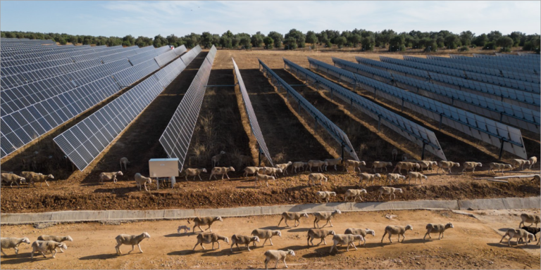 La autorización DIA ha avalado positivamente los estándares de estas seis plantas solares de Aquila Clean Energy en términos ambientales y paisajísticos.