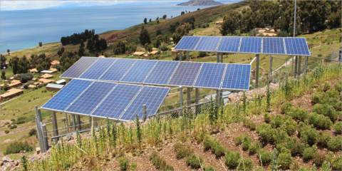 Acuerdo en Andalucía para integrar agricultura y renovables que contempla la energía agrovoltaica