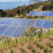 Acuerdo en Andalucía para integrar agricultura y renovables que contempla la energía agrovoltaica