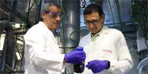 La energía solar puede producir biocombustibles y fertilizantes sostenibles, según el CSIC
