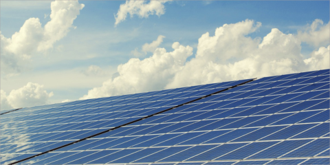 Adjudicado el parque solar fotovoltaico de Mercazaragoza que entrará en funcionamiento en 2024