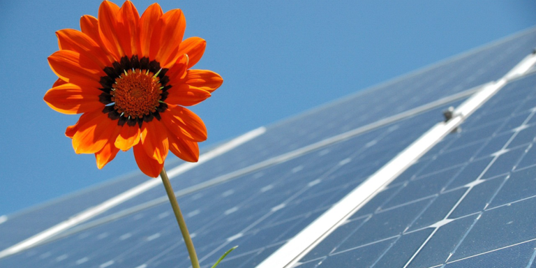 La legislación aprobada por el Parlamento Europeo acelerará los procedimientos para conceder permisos para nuevas centrales de energías renovables, como paneles solares, o para adaptar las existentes.