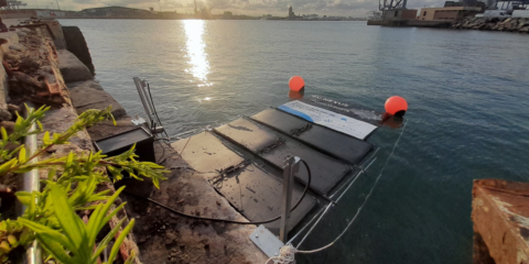 El Puerto de Valencia acoge un prototipo de energía solar flotante sobre el agua del mar