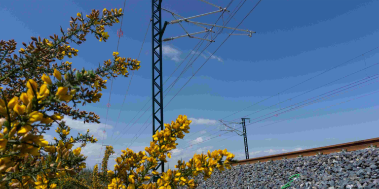 Adif ha destinado más de 22 millones de euros para la instalación de plantas fotovoltaicas en terrenos de su propiedad.