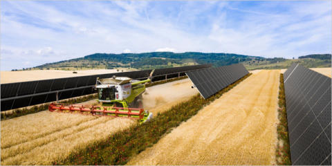 Financiación del programa LIFE para desarrollar nuevos modelos de agrovoltaica en cinco países