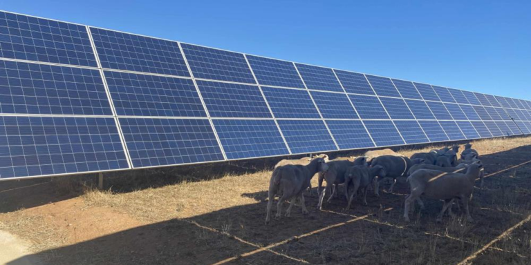 Planta fotovoltaica.