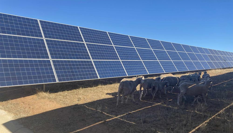 Planta fotovoltaica.