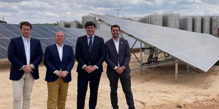 planta fotovoltaica de Bodegas Fontana