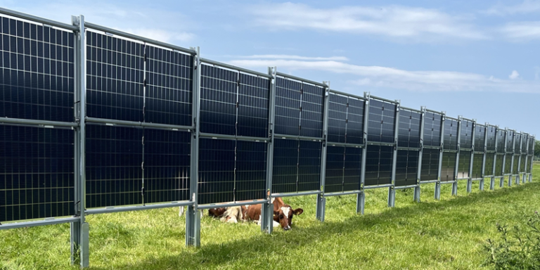 Comienza el proyecto SolarMilk para integrar la energía solar en terrenos de la industria láctea