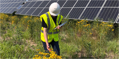 Las instalaciones solares en zonas agrícolas pueden preservar el hábitat natural, según un estudio
