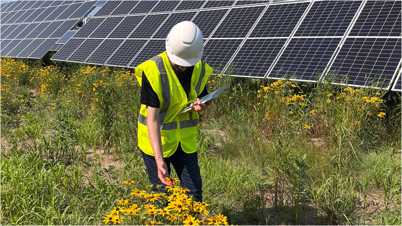 Trabajador en una instalación solar en terreno agrícola.