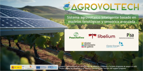 Agrovoltech desarrollará una solución agrovoltaica inteligente para la producción fotovoltaica y agrícola