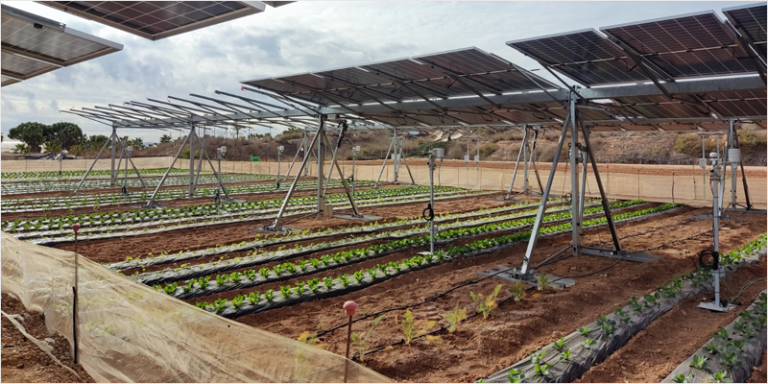 Investigación agrovoltaica en Murcia.