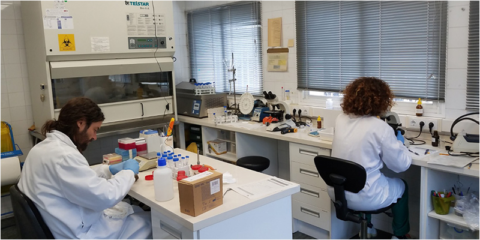 Más de 133 equipamientos de la Agencia de Medio Ambiente y Agua de Andalucía tendrán placas solares