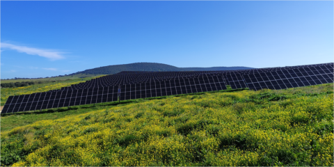El municipio extremeño de Alconchel acoge una nueva planta fotovoltaica de 19,60 MWp