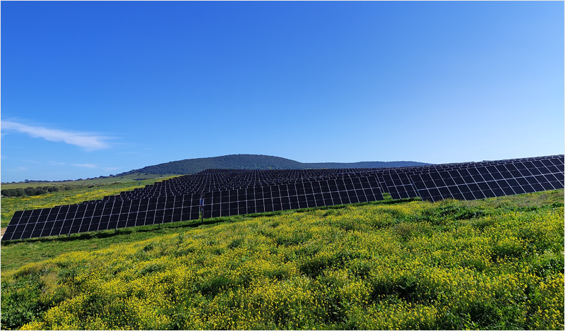 Planta fotovoltaica en Alconchel.