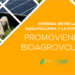 I Informe de Bioagrovoltaica de UNEF
