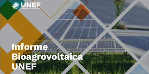 UNEF publica su I Informe de Bioagrovoltaica para impulsar las instalaciones agrovoltaicas