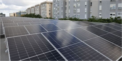 La cadena de supermercados HiperDino pondrá en marcha cinco plantas fotovoltaicas en 2024