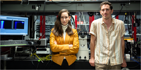 El MIT revela nuevas directrices para aumentar la eficiencia de las células solares de perovskita