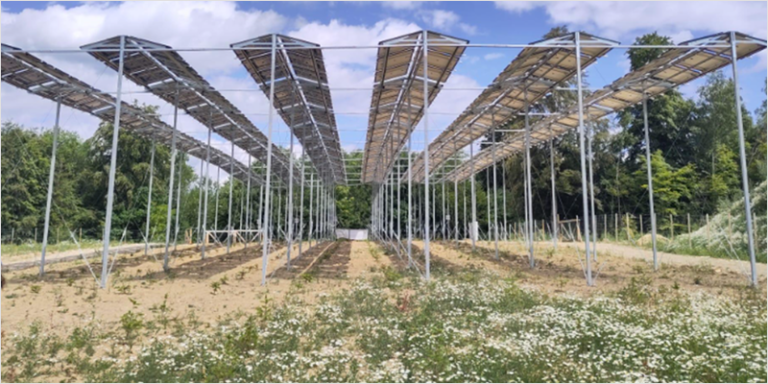 Instalación agrovoltaica en Alemania.