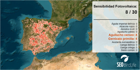 Los mapas de SEO/BirdLife muestran las zonas compatibles con instalaciones fotovoltaicas y eólicas