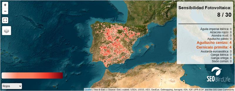 Mapa de SEO/BirdLife.