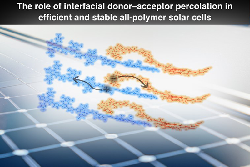 Investigación en células solares orgánicas.