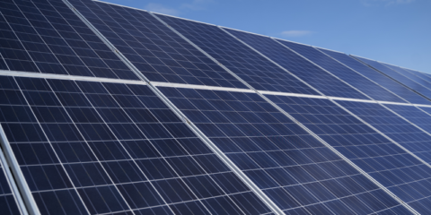 La Universidad de Murcia instalará plantas fotovoltaicas en cinco cubiertas del Campus de Espinardo