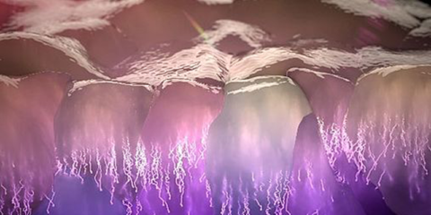 Un microscopio ultrarrápido permite analizar el transporte de electrones en células solares de perovskita