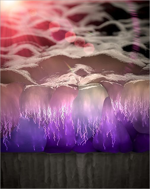 Investigación en células solares.