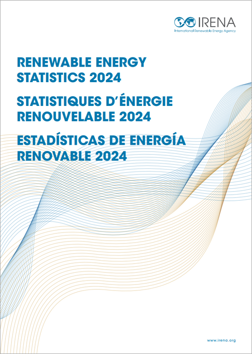 Informe de Irena.