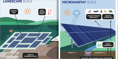 Un nuevo estudio analiza el impacto de las plantas fotovoltaicas en los hábitats naturales