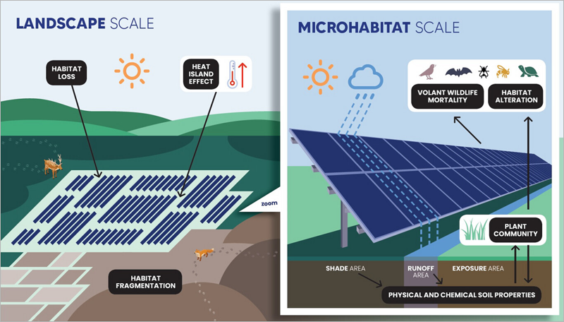 Estudio del impacto de la energía solar en la biodiversidad.