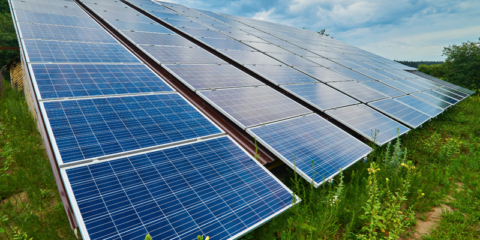 La UPM analiza el impacto de las plantas fotovoltaicas en la humedad y la vegetación del entorno