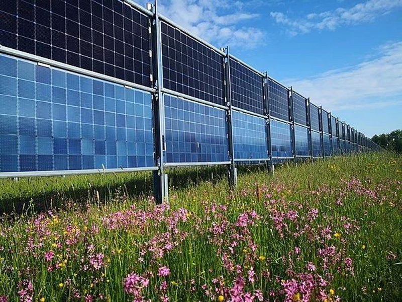 Investigación en energía agrovoltaica.