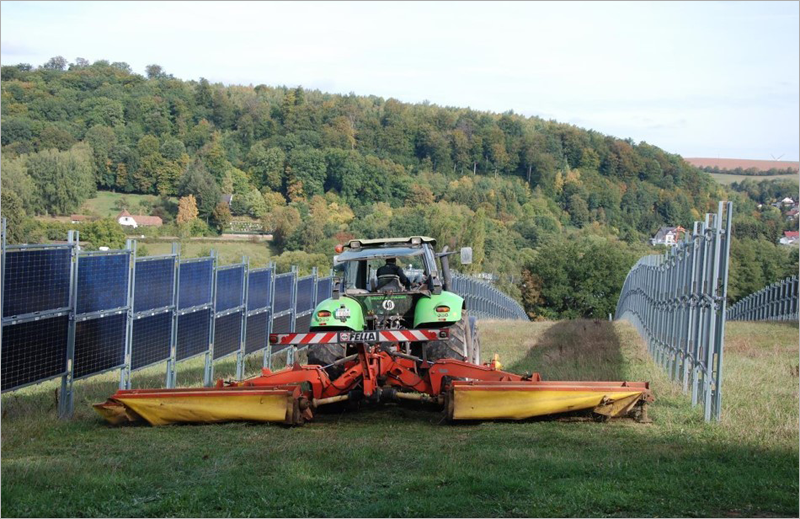 Investigación en energía agrovoltaica.