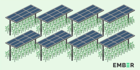 La energía agrovoltaica podría triplicar la generación renovable anual de Europa Central, alcanzando 191 TWh
