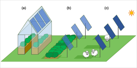 Una herramienta identifica los mejores materiales para optimizar las soluciones agrovoltaicas