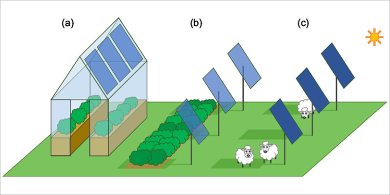 Investigación agrovoltaica de la Universidad de Swansea.