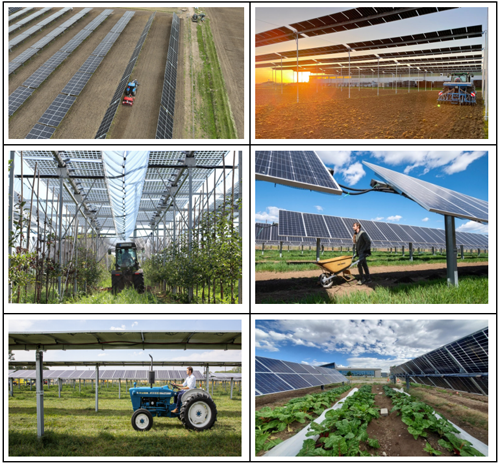 Sistemas agrovoltaicos con seguidores solares.