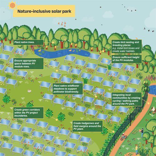 Imagen del informe SolarPower Europe y The Nature Conservacy.