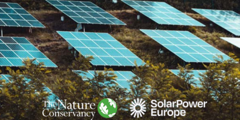 Recomendaciones para elaborar un marco de políticas en la UE para la integración de los parques fotovoltaicos en la naturaleza
