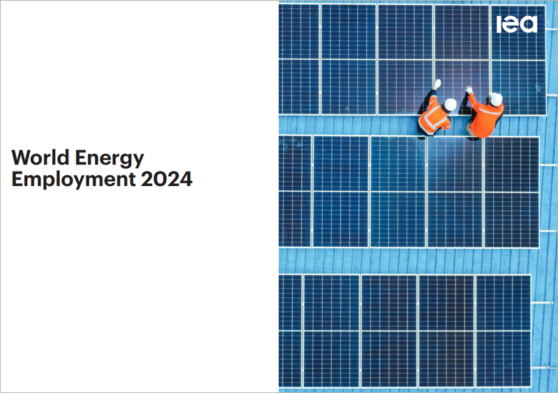 informe ‘Empleo energético mundial 2024’