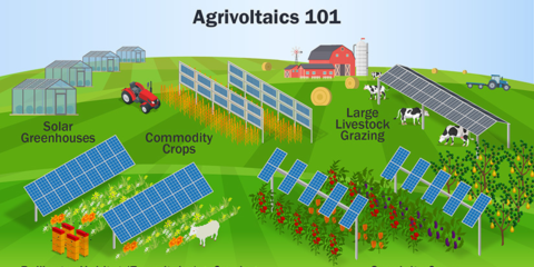 El NREL publica hojas informativas para ayudar en el desarrollo de proyectos agrovoltaicos