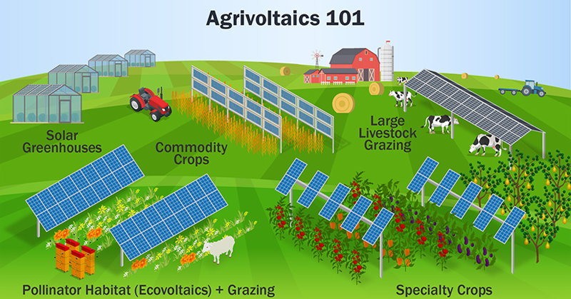 Hojas informativas sobre agrovoltaica.