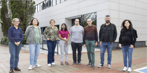 El proyecto Hepaflex persigue crear células solares de perovskita de alto rendimiento